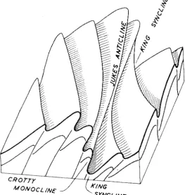 FIG. 5. ---The idealised strueture of th(~ .lukes lvlonoeline and King Syncline and their relati.ol1s west folds