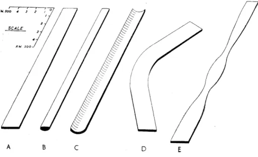 FIG.  l.--·The  relative  dimensions  of  an  orogen. 
