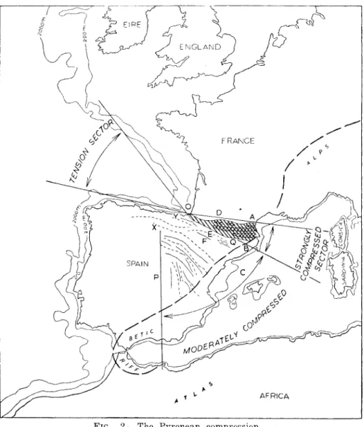FIG.  2.·--The  Pyrenean  compression. 