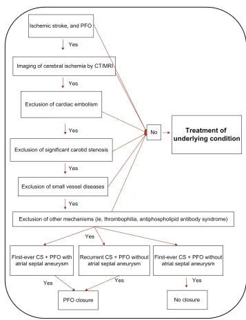 Figure 1 Clinical algorithm for a multidisciplinary decision on PFO closure, in patients with cryptogenic stroke
