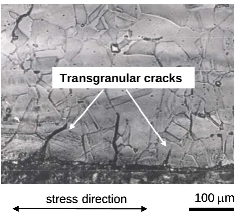 Fig. 6 Intergranular crack morphology on tensile side of longitudinally sectioned specimens at 1.43% strain range.