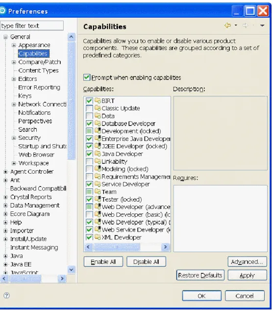Figure 2. Modifying Capabilities 