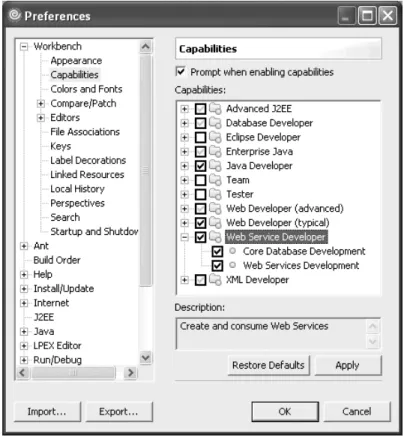 Figure 1.4: Setting Workbench capabilities.