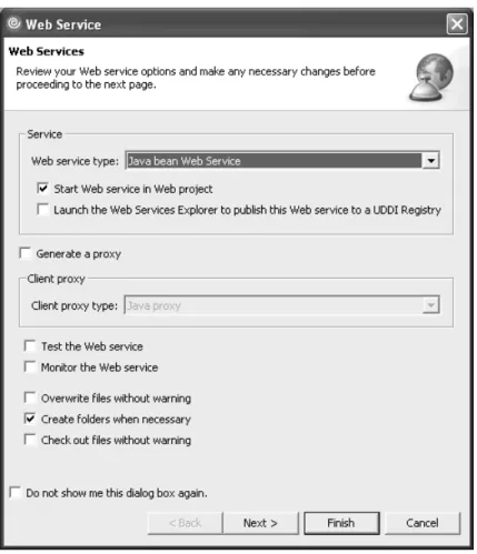 Figure 1.9: The Web service’s Options window.