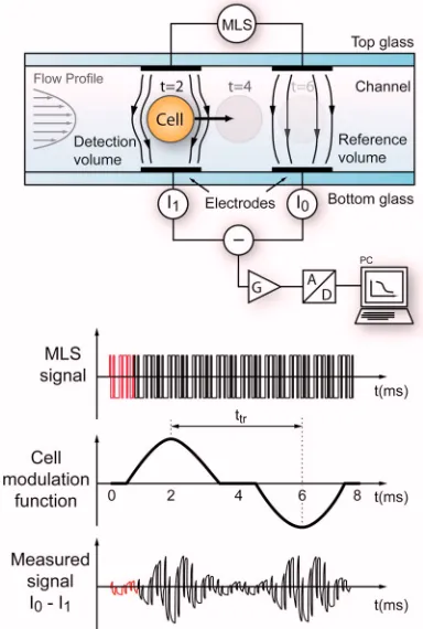 FIG. 1. Diagram showing the MLS measurement technique. The MLS is generated in software, converted to an analog voltage with a D/A converter, and thenapplied to the sample