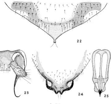Fig. FIGS 22-25 (male). 22: subgenital plate (female). Fig. 25: penial complex (male)