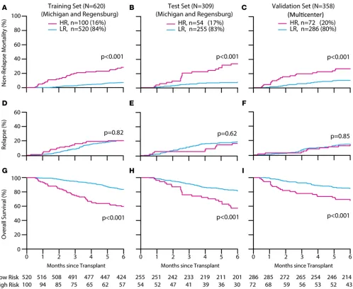 Figure 1. Outcomes according to MAGIC risk stratification. Six-month cumulative incidences of nonrelapse mortality in high risk (HR) and low risk (LR) were (95% CI, 21 to 46); LR 7% (95% CI, 5 to 11); validation set (training set (14% (95% CI, 7 to 23); LR