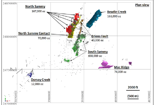 Figure 2:  Plan projection of the Big Springs resource domains 