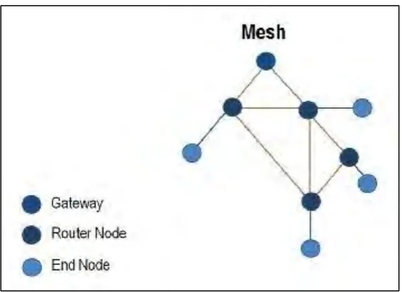 Figure 2.2 cluster mesh network topology 