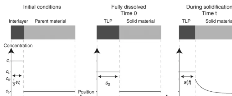 Fig. 1. Schematic representation of the evolving concentration proﬁle. In modelling the process, only the solidiﬁcation step is considered, with the conditions after