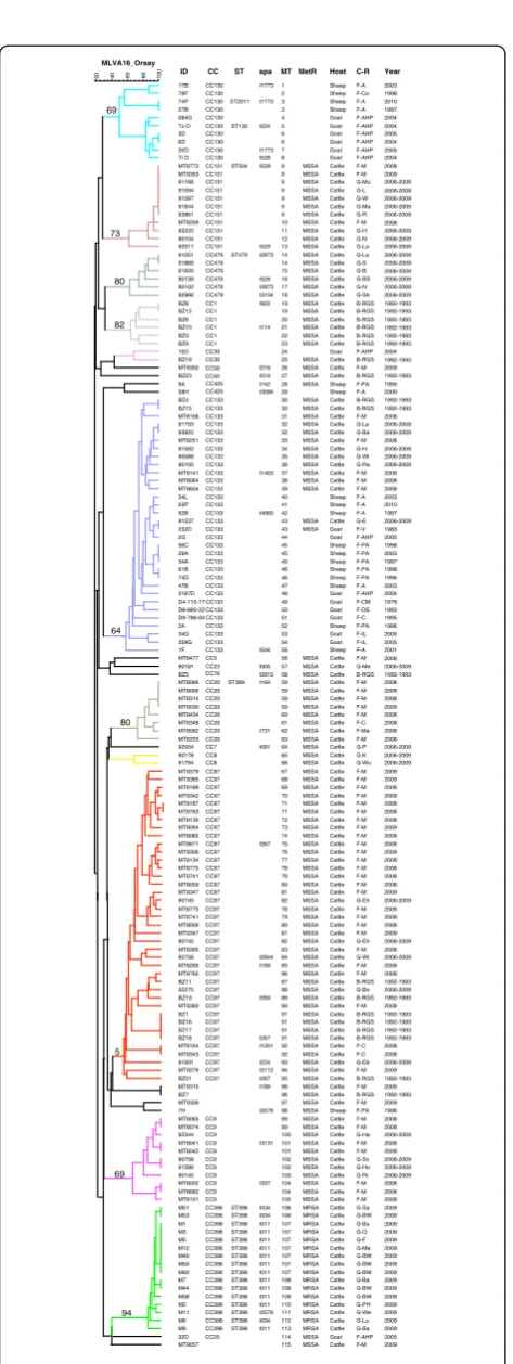 Figure 2 Dendrogram deduced from the clustering of the152 S. aureus mastitis-associated strains using MLVA16Orsay.The colour code reflects MLVA clusters when using the 45% cutoff