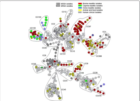 Figure 3 Mastitis strains superimposed on a background of previously published data from human, animal or food isolates [22]