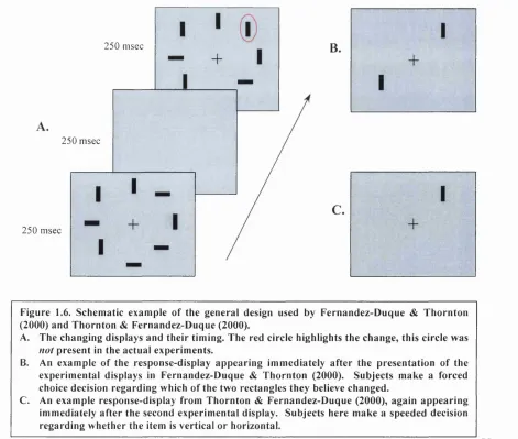 Figure 1.6. Schematic example of the general design used by Fernandez-Duque & Thornton
