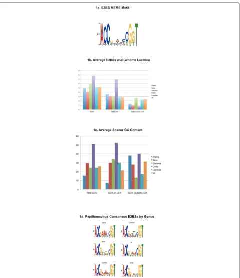 Figure 1 Consensus Sequence Analysis of E2BSs Throughout Papillomavirus Generacontent of their four base spacer regions