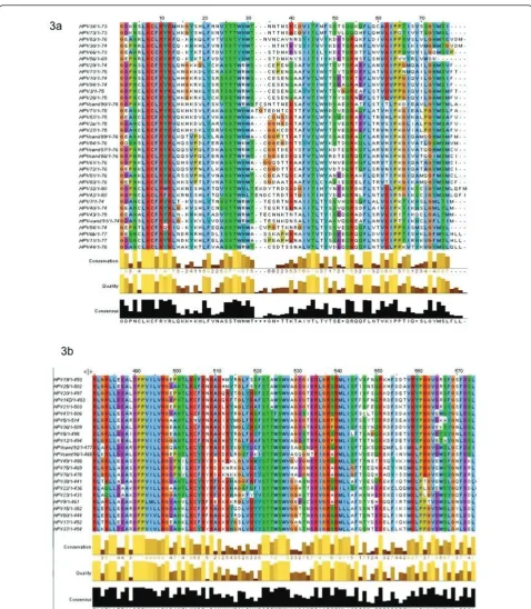 Figure 3 E2 DNA Binding Domain Protein Alignment. Amino acid sequences for all known E2 proteins were acquired from NCBI and alignedusing Muscle
