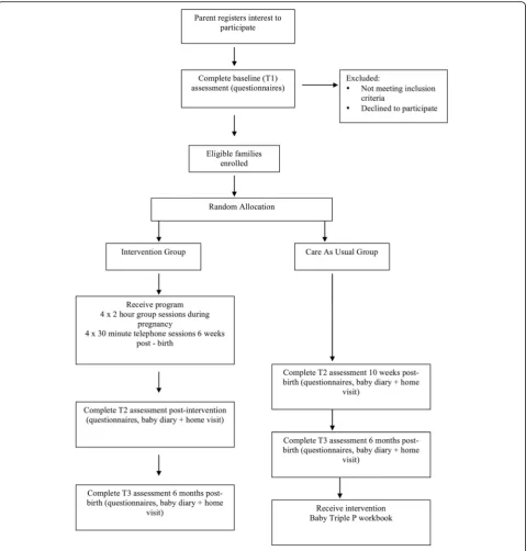 Fig. 1 Participant flow through the study