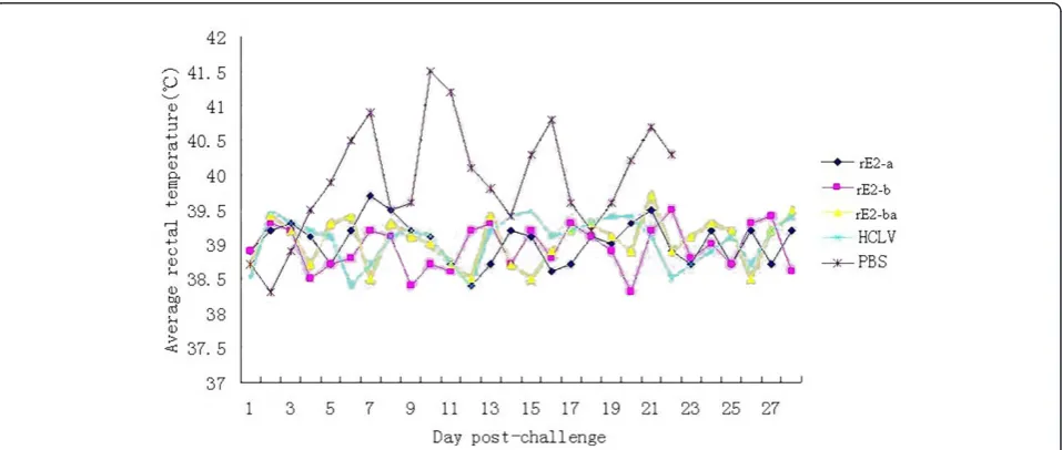 Table 4 Protective potency of the expressed peptide vaccine against lethal challenge by CSFV Shimen strain