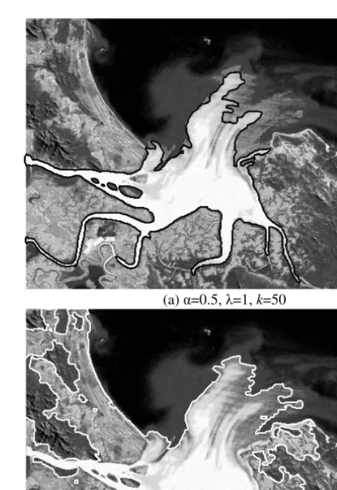 Fig. 5. Water-flow detection results for river delta photo with different parameters: increased λreduces the significance of image forces, and smaller k makes flow less sensitive to edges, therefore the detail detection level is lower in (b)  