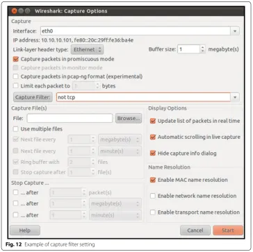 Fig. 12 Example of capture filter setting