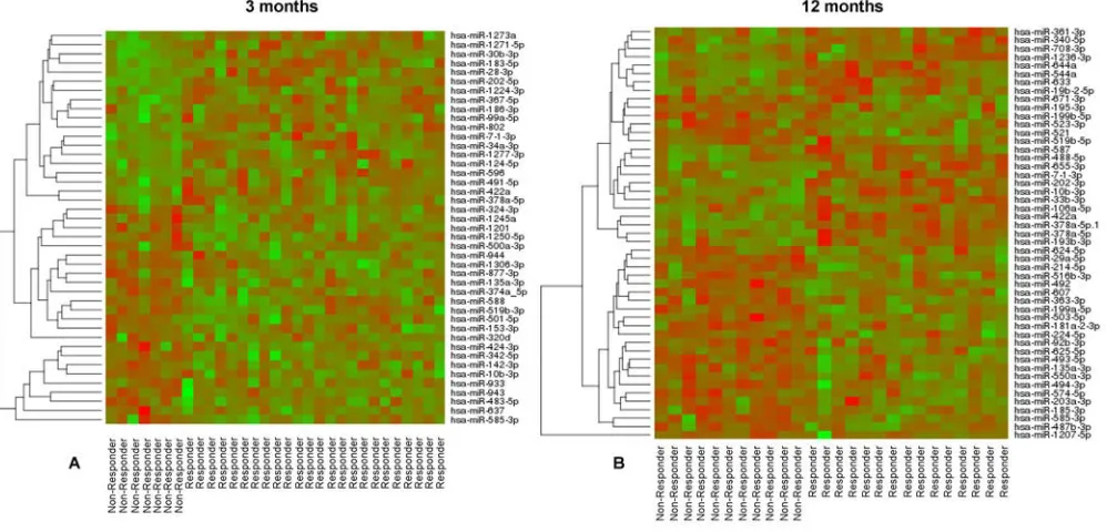 Figure 2. miRs differentially regulated in response to β-blocker treatment at 3 and 12 months