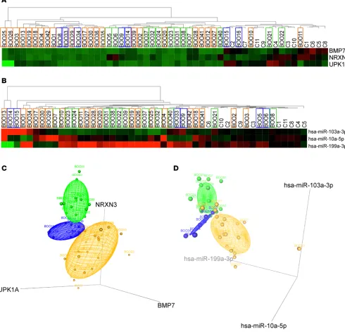 Figure 6. Testing the 3-mRNA and 3-miRNA bladder dysfunction signatures in a blinded study