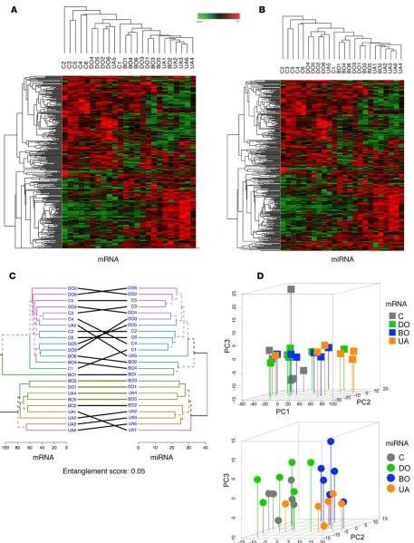 Figure 2. Differentially expressed mRNAs and miRNAs in BOO-induced LUTD patients. (A) Hierarchical clustering and heatmap of log2 fold change of 2,634 significantly regulated mRNAs (y axis) in 24 patients (x axis)