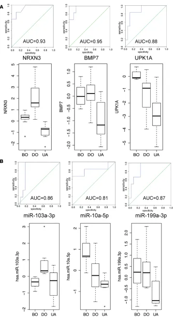Figure 4. ROC curve analyses of mRNA and miRNA signatures to 