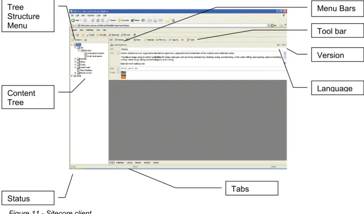 Figure 11 - Sitecore client 