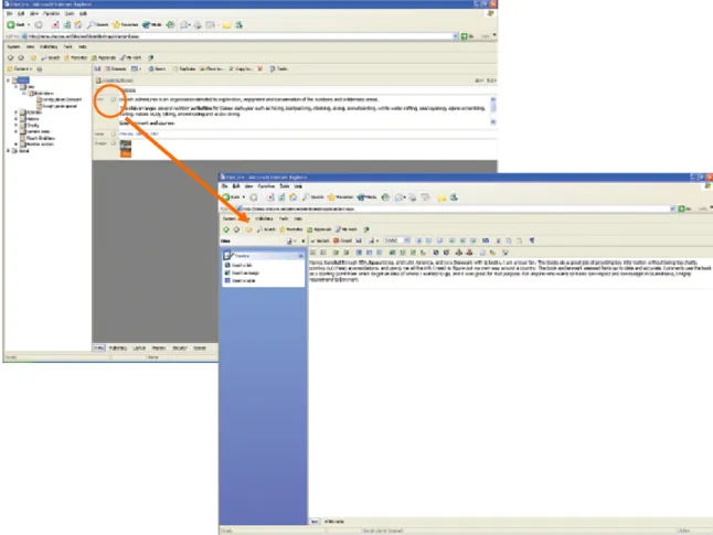 Figure 5 - The html editor 