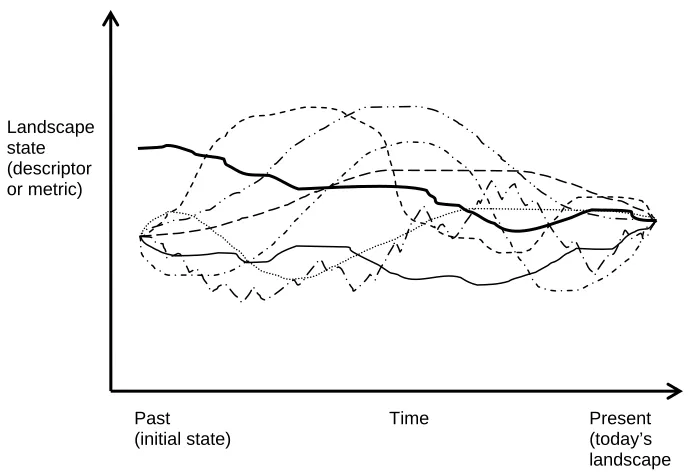 Figure 1.3:  LEM evolution paths represented as multiple working hypotheses (adapted from Church, 2003), but this time beginning with a common initial condition