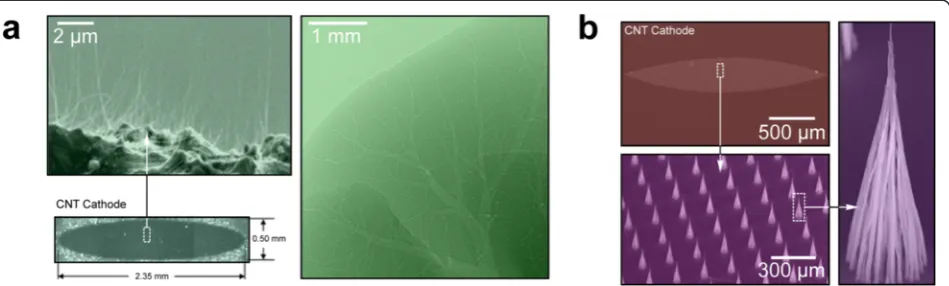Figure 5 Shaped CNT cathodes.an elliptical electron source, formed from tepee-like CNTs, demonstrated by Ryu Control over the electron beam distribution, and subsequent symmetry of the X-ray beam, can be achieved byshaping the electron emitting areas on th