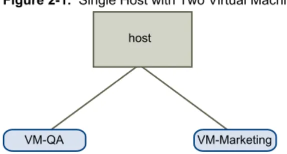 Figure 2-1.  Single Host with Two Virtual Machines