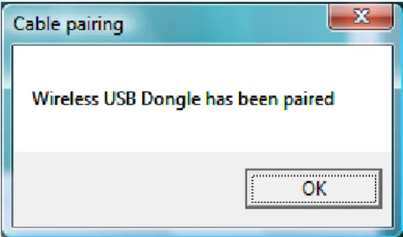 Figure 10: Pairing successfully completed 