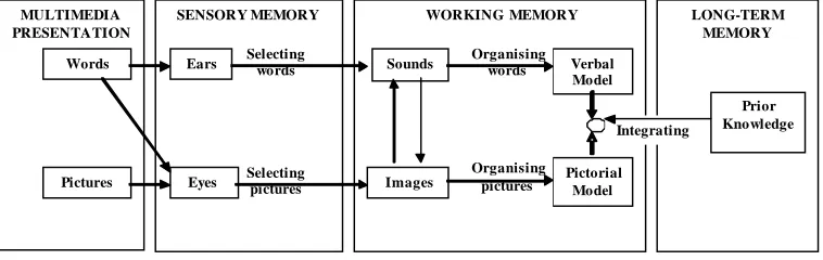 Figure 3. The cognitive theory of multimedia learning [8]