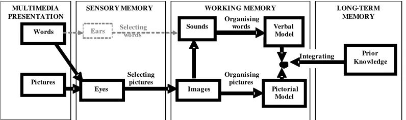 Figure 4. The hypothesised cognitive processing of a UML-B model