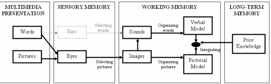 Figure 4. The hypothesised cognitive processing of a UML-B model
