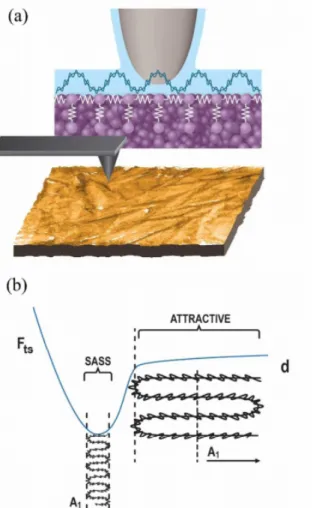 Figure  12.  (a)  Illustration  of  an  AFM  tip  oscillating  with  small  amplitudes