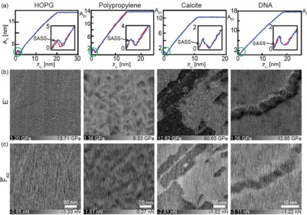 Figure 13. (a) The amplitude-distance curves obtained on HOPG, polypropylene, calcite  and DNA showing the SASS regime for AFM experiments