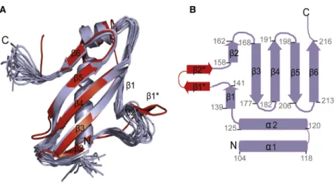 Figure 4. Solution Structure of Tim21 IMS (A) Superposition of the 20 lowest energy NMR conformers (purple) of Tim21 IMS with the X-ray structure (red; Protein Data Bank code: 2CIU;
