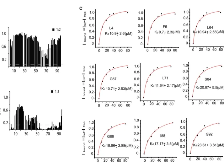 Figure 6. Recognition of Tim50 by Tim23