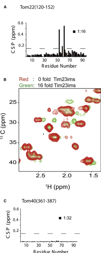 Figure 7. The Tim23-Tom22 Translocation Contact