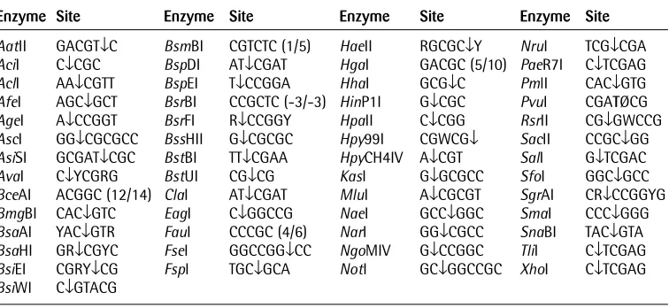 Table 1. Recognition sequences and sites of cleavage of commercially available MRSEs 