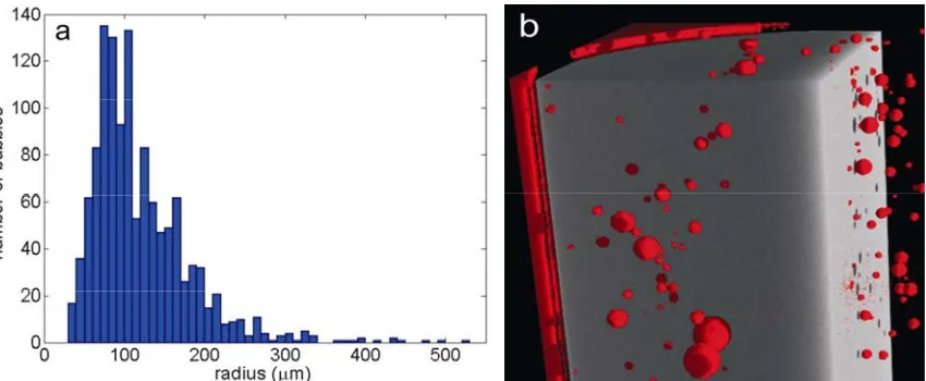 Figure 4: Measured bubble distribution, including: (a) combined bubble distribution obtained from the three sub-samples and (b) a 3-D CT image of a vertical segment of one of the cylindrical samples, with the host gel clipped back to allow the bubbles to b