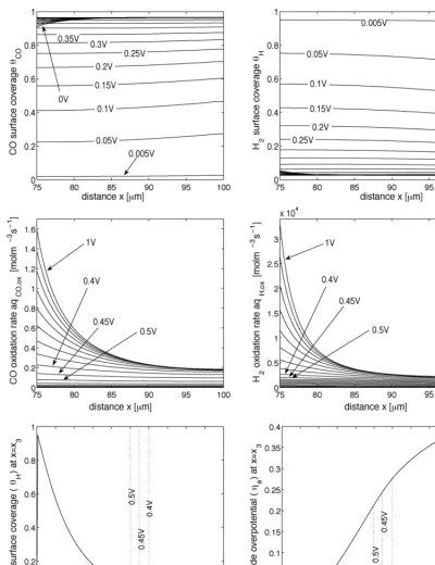 Fig. 5. The ﬁrst two rows show simulated proﬁles of the surface coverage, θH and θCO, and the electro-oxidation rates, aqH,ox and aqCO,ox