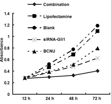 Figure 4. U251 cell proliferation in blank, Lipo-fectamine, siRNA-Gli1, BCNU and combination groups