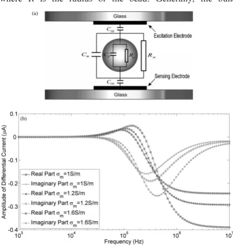 Fig. 3(a) A representation of the equivalent circuit model for a singlethe capacitance of the medium and bead respectively