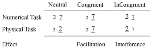 Figure 1Examples of stimulus pairs used in the experimentExamples of stimulus pairs used in the experiment