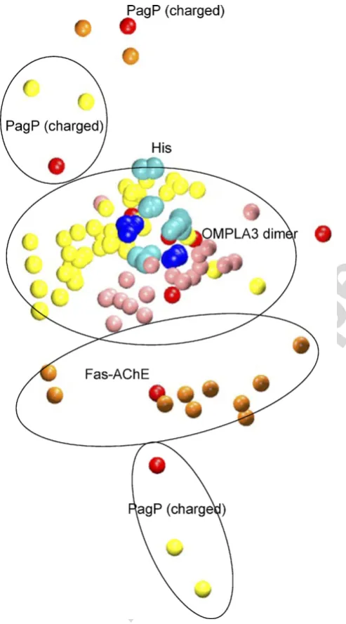 Fig. 4. The catalytic triad positions for the active-site ‘‘template’’, samplingAuthor's   personal   copyframes at each full nanosecond from the trajectories OMPLA3, Fas-AChE, andthe PagP (charged)