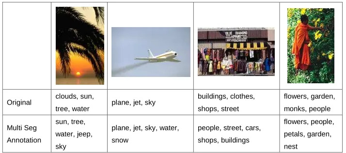 Figure 4: Some annotation examples by multiple segmentation based approach