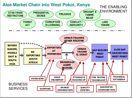 Figure 1. Specific ‘market map’ developed from figure 1 (in collaboration with local stakeholders) and applied to Aloë spp